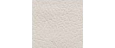 (color) J2022 Ivory