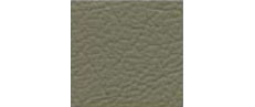 (color) J2168 Sable