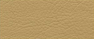 (color) J4104 Bisquit