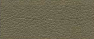 (color) J4104 Buckskin