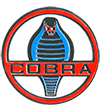 Shelby Cobra Portfolio